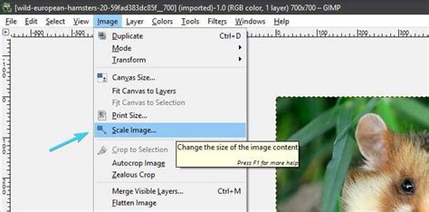 Top 5 Solutions To Resize Image Without Losing Quality Windowsmac
