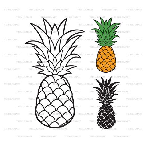 Pineapple Cut Files For Cricut Clip Art Silhouettes Eps Etsy