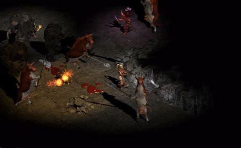 The amazon this powerful woman warrior belongs to nomadic bands who roam the plains near the south sea. Diablo II | Diablo Wiki | FANDOM powered by Wikia