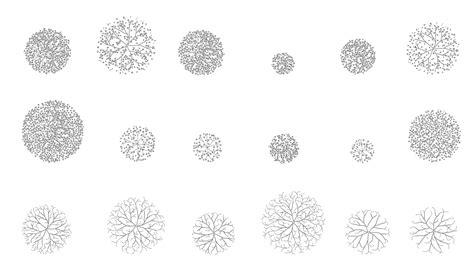 Most Popular AutoCAD Blocks Trees Plan