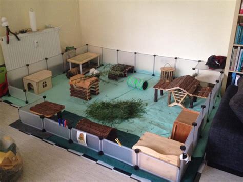 Hallo ich wollte mal fragen ob merrschweinchen in der wohnung stinken? Fleece-Haltung - Meerschweinchenwiese