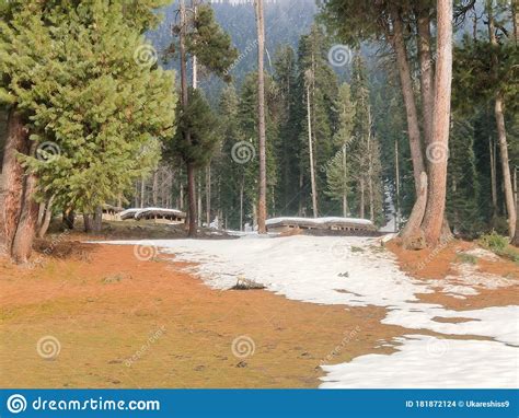Winter Landscape With Trees Stock Photo Image Of Waterway