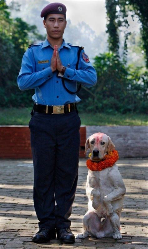 And today, many countries including india, celebrate the first sunday of august as friendship day every year. There Is An Annual Festival In Nepal That Celebrates Dogs ...