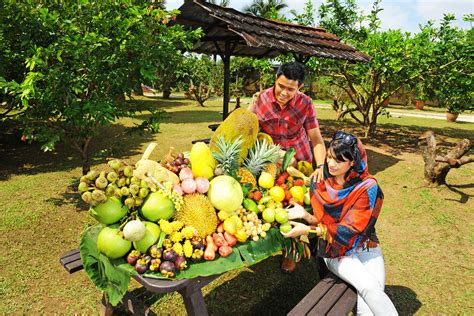 Penang Tropical Fruit Farm | Tour & Incentive Travel