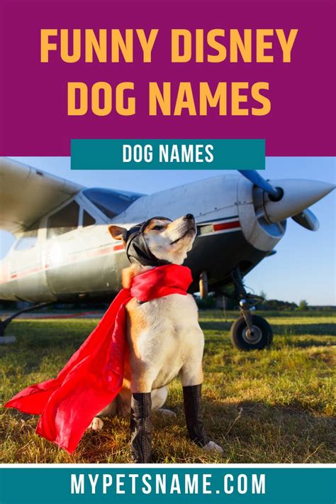 Check them out and let us know your favorites! Funny Disney Dog Names | Dog names, Disney dogs, Disney funny