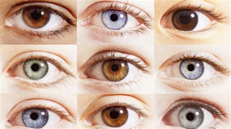 Read What Different Types Of Eyes Says Astro Upay