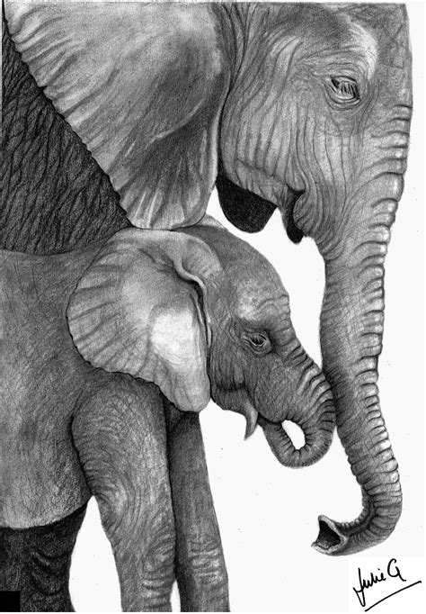 Elephant Drawings By Gary Hodges Artofit