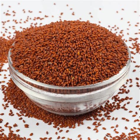 Asario Seeds Shri Hari Industries Bikaner Rajasthan