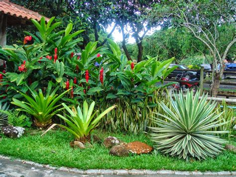 DECORA INTERI: Jardins tropicais