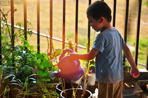 Acercar A Los Niños A Los Cuidados Del Jardín Y Las Plantas