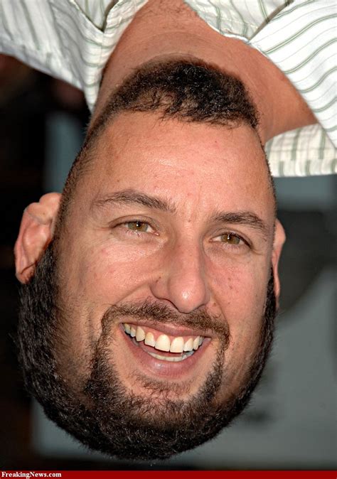 Adam richard sandler was born september 9, 1966 in brooklyn, new york, to judith (levine), a teacher at a nursery school, and stanley alan sandler, an electrical engineer. Adam Sandler | Sanpedia Wiki | Fandom powered by Wikia