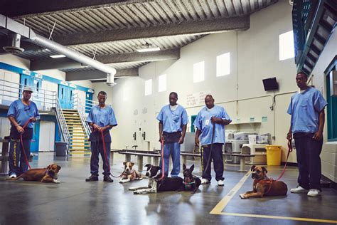 Inside The California Prison Where Inmates Train Rescue Dogs Time