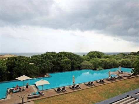 435/7 matara road, tangalle, sri lanka, tangalle 82200, sri lanka. Discover Yala National Park in Sri Lanka: What You Need to ...