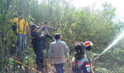 Mengatasi motor keluar asap tanpa ganti ring seher dengan melakukan penyebab motor keluar asap putih saat pertama kali hidup,atau motor keluar cara mengatasi motor vario berasap. Ada Kepulan Asap Hitam dari Dalam Hutan, Untung Warga Cepat Beraksi - Daerah JPNN.com