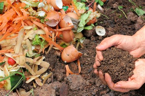 Composting Works How To Get Started Composting At Home