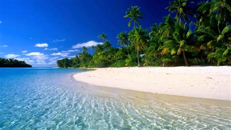 Please contact us if you want to publish a beach pc wallpaper on our site. Beach live wallpaper - YouTube
