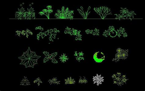 Shrubs Trees Plants Top View Plan And Elevation 2d Dwg Block For