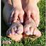 50 Best IG Feet Pages  Instagram Foot Models » Page 28 Of 33 WikiGrewal