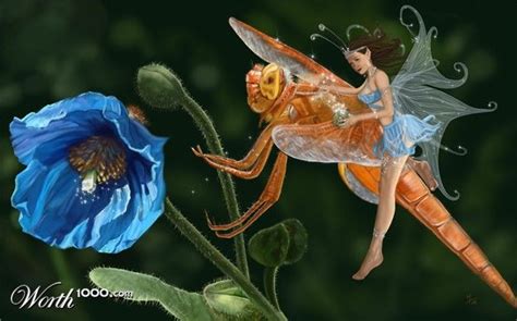 Ir Fairies Worth1000 Contests Фея Волшебный лес и Рисунки