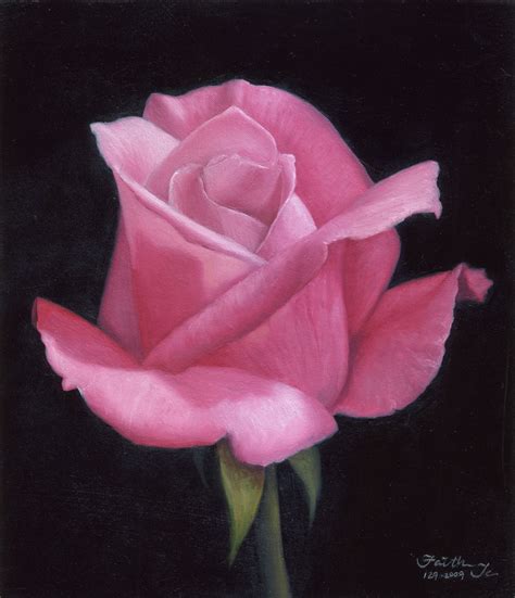 Pink No 2 Rose Paintings In Oil Daily Paintings