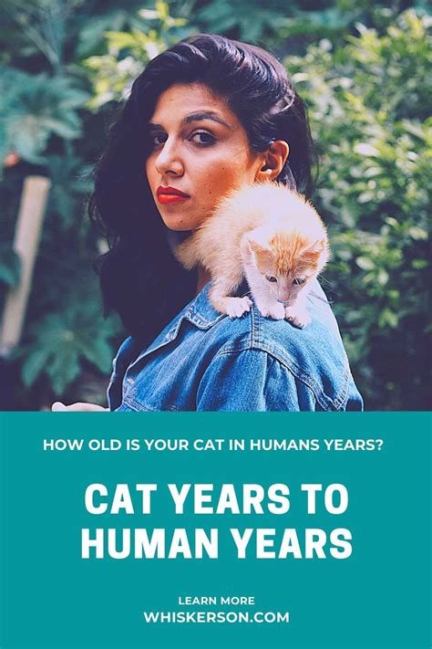 How To Calculate Cat Years To Human Years Cat Blog For Cat Parents