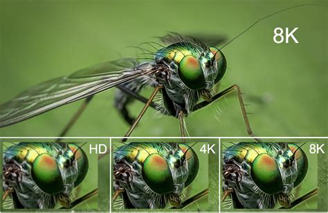 What Are The Differences Between 4k And 8k