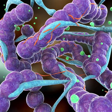 Characters and actors with wallpapers: Bacteria In A Petri Dish Wallpapers High Quality ...