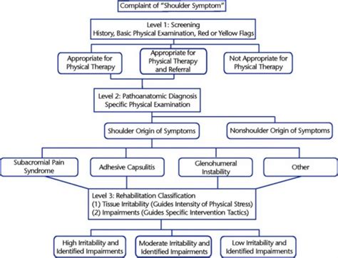 Classification Of Shoulder Pain Physiopedia