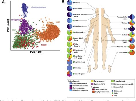Figure 2 From Functions Of The Skin Microbiota In Health And Disease