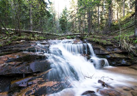 With gentle slopes and smooth tracks, this. Maxwell Falls Lower Trail - Trails Near Me