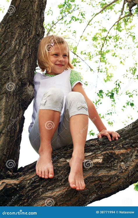 Cute Girl Climbed On Tree Stock Photo Image Of Happy 38771994
