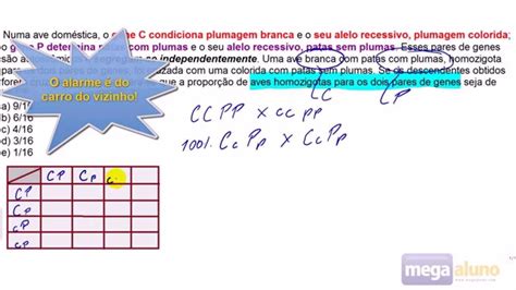 Exercícios Sobre 2 Lei De Mendel