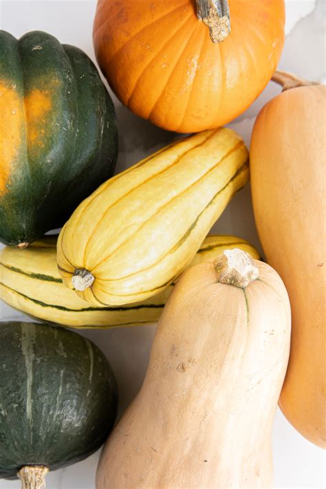 Types Of Winter Squash A Guide To Winter Squash Varieties The Forked