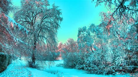 Sunny Winter Landscape Wallpapers Wallpaper Cave