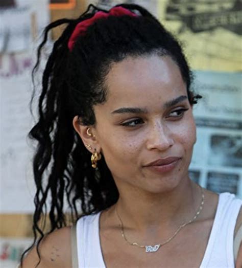 Fidelity terrain is your one source for affordable lawn care & landscaping services. Zoe Kravitz's earrings (worn on High Fidelity and her Hot ...