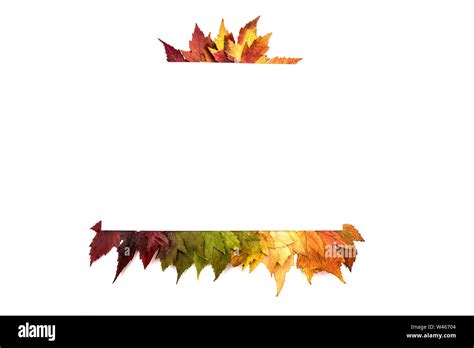 Frame Composed Of Colorful Autumn Leaves Over White Stock Photo Alamy