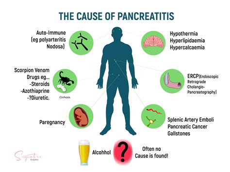 Pancreatitis Symptoms Causes Treatment