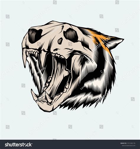 Siberian Tiger Skull Vector Illustration Stock Vector Royalty Free