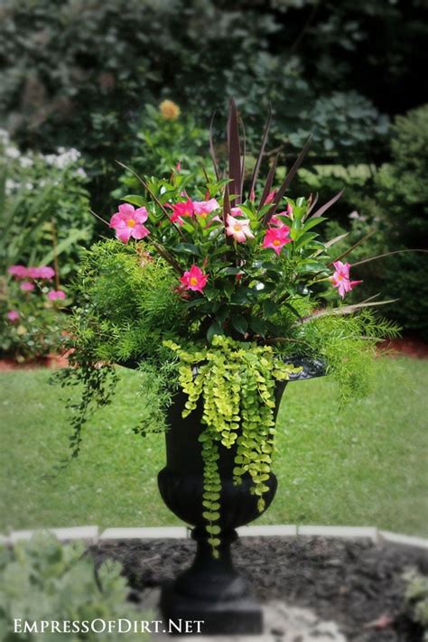 Download the perfect flower image on burst. 21 Gorgeous Flower Planter Ideas from Home Gardens ...