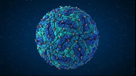 new visualization reveals the zika virus at atomic level mashable