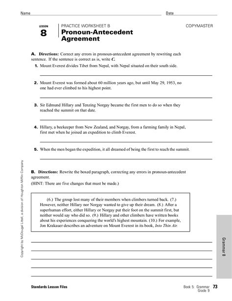 Pronoun Antecedent Agreement Worksheet Lesson Student Lesson Summary