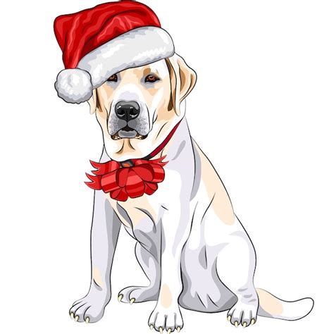 Premium Vector Dog Labrador In The Hat Of Santa Claus With Christmas Bow