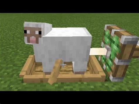 Sheep Fucked Machine Minecraft Youtube