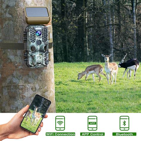 Hunting Game & Trail Cameras Campark 4K Trail Camera WIFI Connection