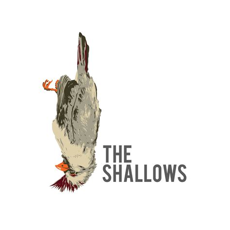 The Shallows Bar | Westerly RI