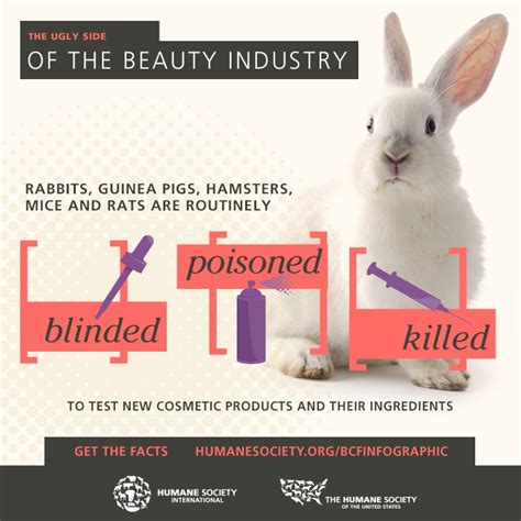 Let's Make the United States Cruelty Free! | My Beauty Bunny