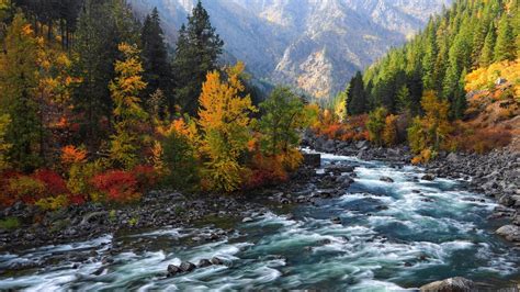 River Water Stream Between Yellow Green Red Autumn Fall Trees Mountain