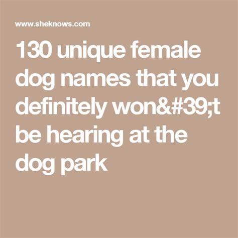 130 unique female dog names that you definitely won't be hearing at the
