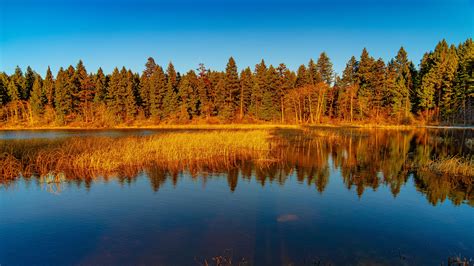 Download Wallpaper 3840x2160 Lake Forest Trees Nature Landscape 4k