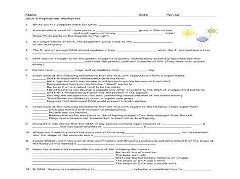 Under the conditions found in cells, dna adopts a double helix structure. DNA The Double Helix Worksheet Answer Key